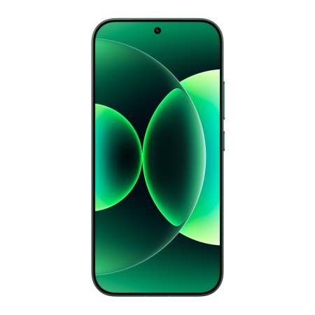 Смартфон Xiaomi 17 12 ГБ/256 ГБ зеленый